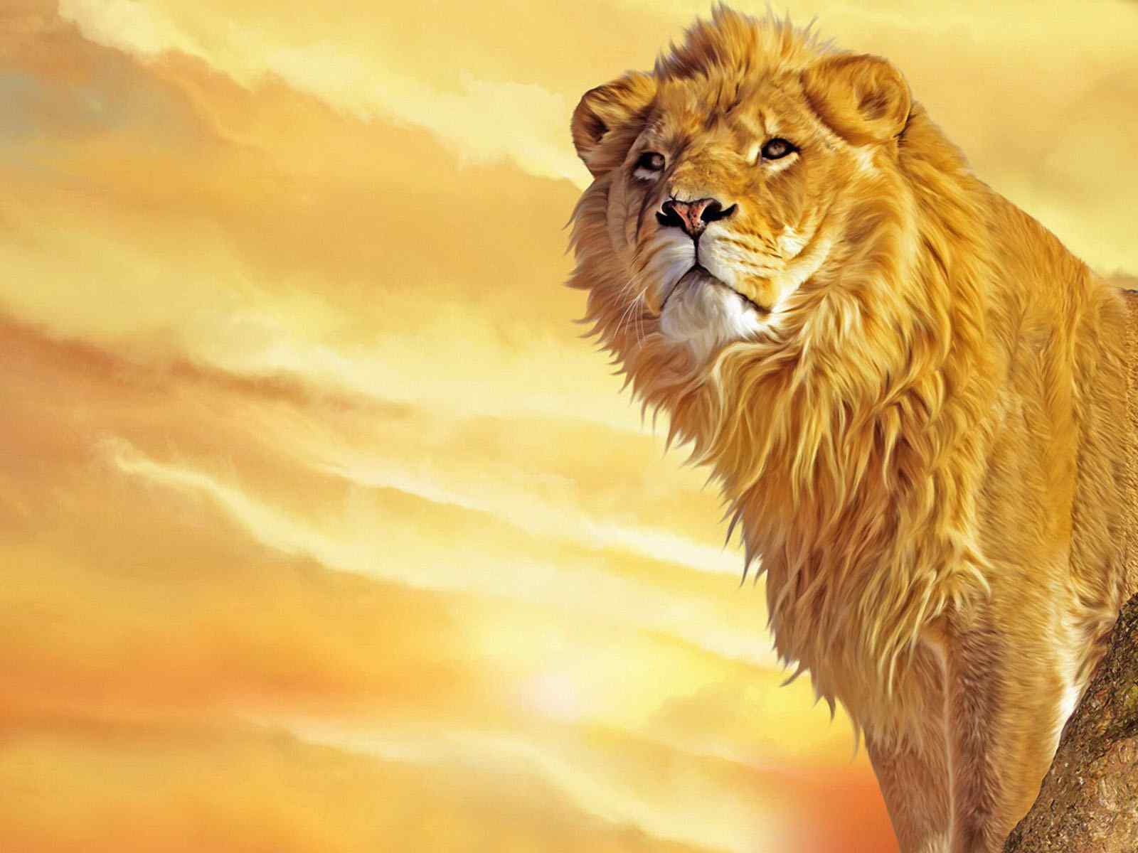 “雄狮”桌面壁纸