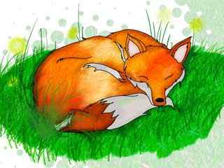 狐狸设计动物壁纸