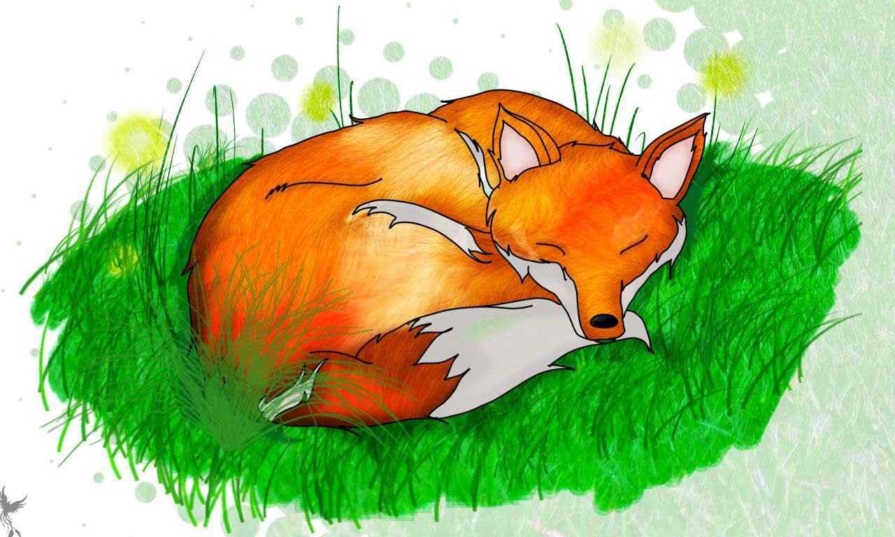 狐狸设计动物壁纸