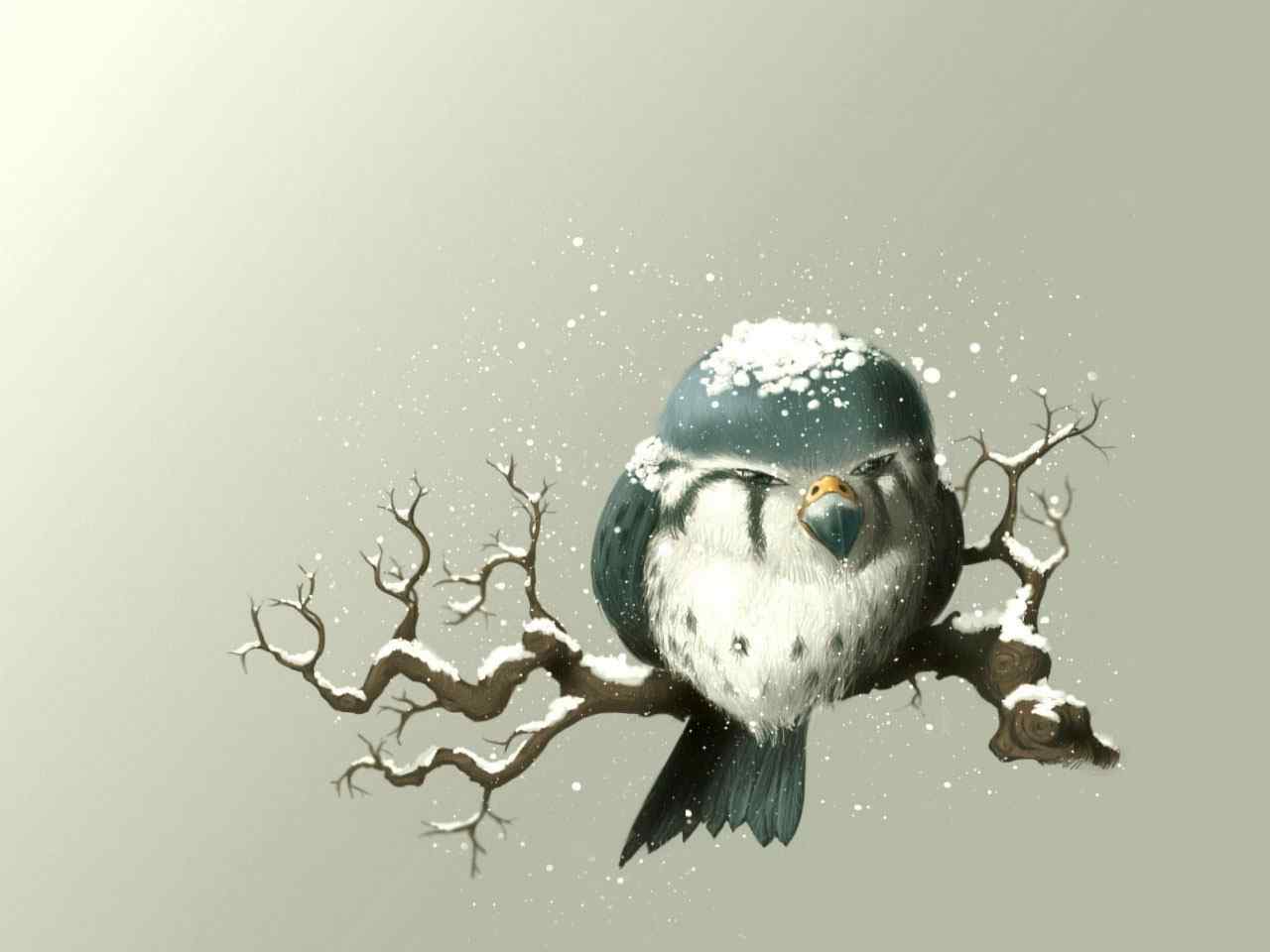 树枝鸟儿雪景壁纸