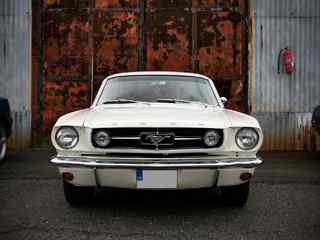 白色法拉利汽车壁纸-Ford Mustang Wallpaper