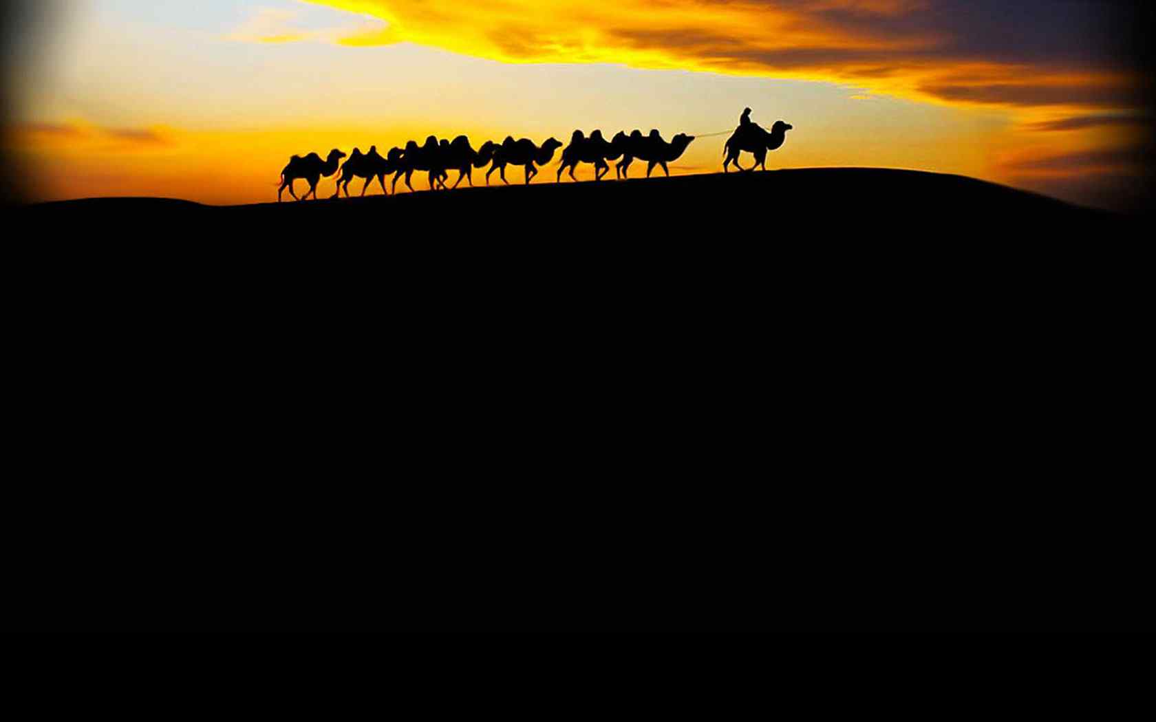 沙漠骆驼动漫壁纸