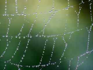 个性蜘蛛网创意壁