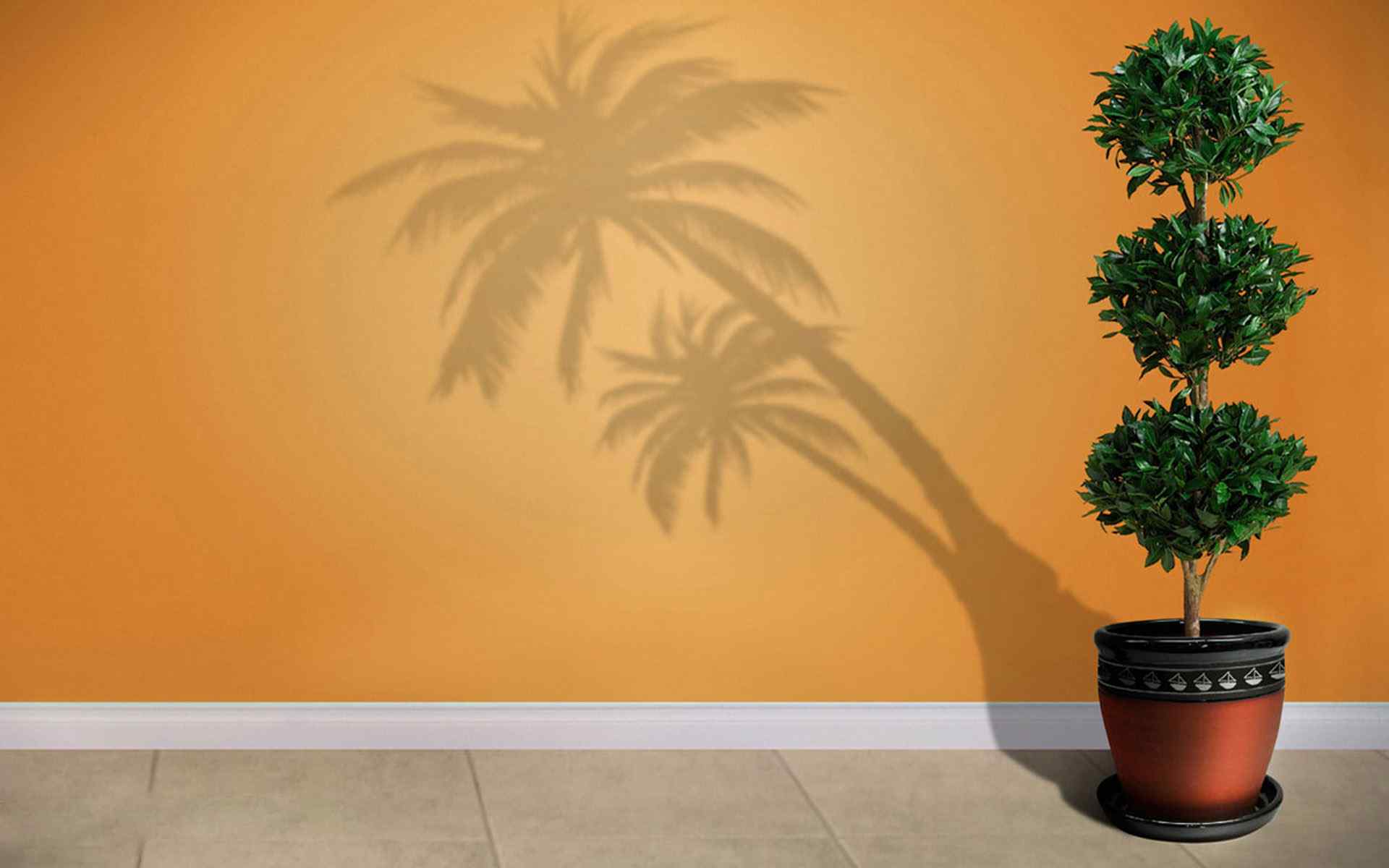 橘色盆景设计壁纸