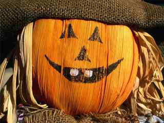 万圣节南瓜壁纸-Funny Halloween pumpkin Wallpaper