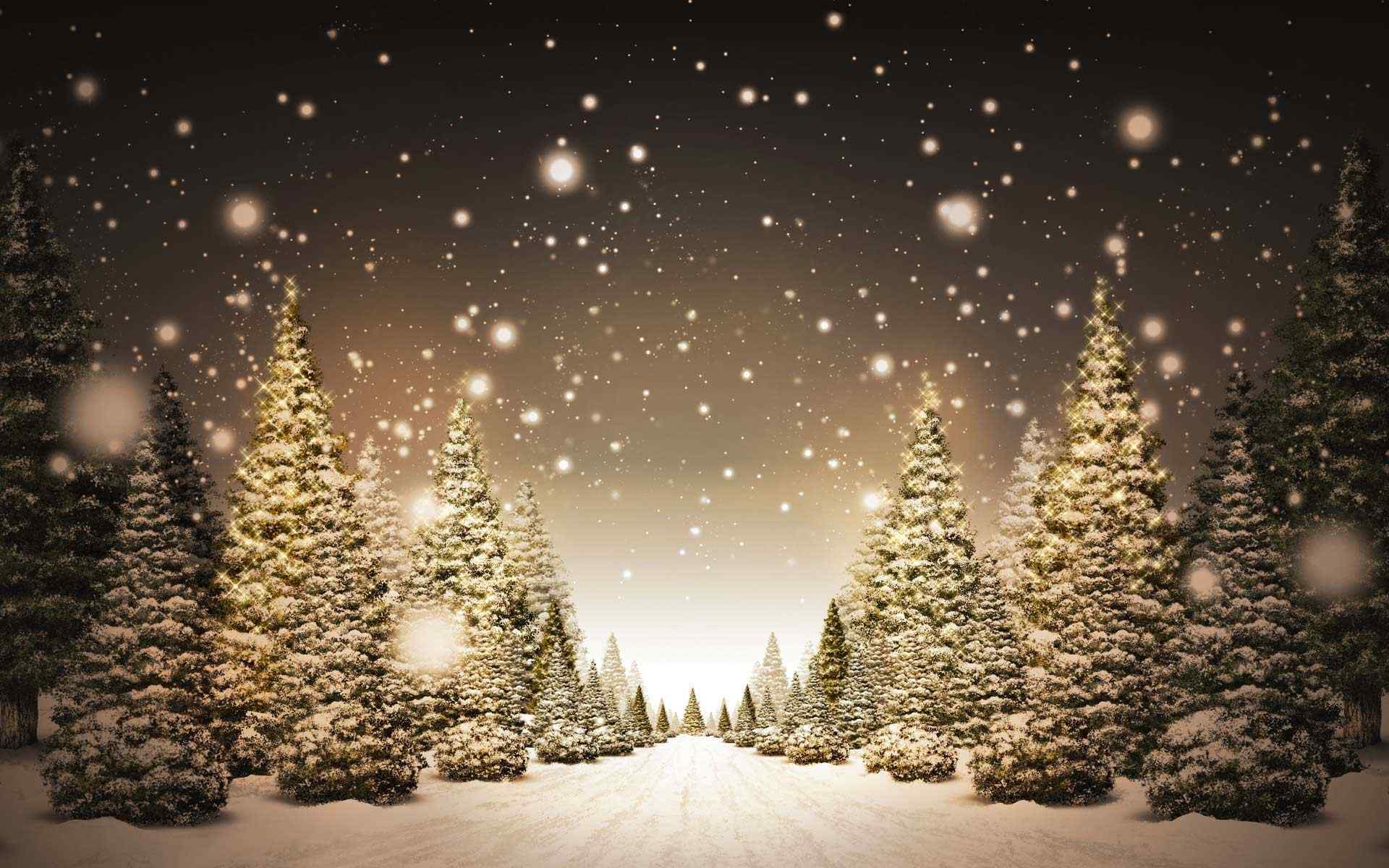 圣诞树雪景壁纸