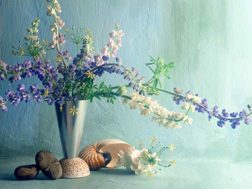 静物鲜花壁纸-Vaza with flowers Widescreen Wallpaper