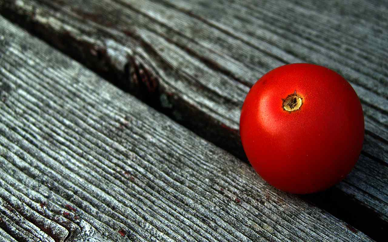 红色番茄摄影壁纸