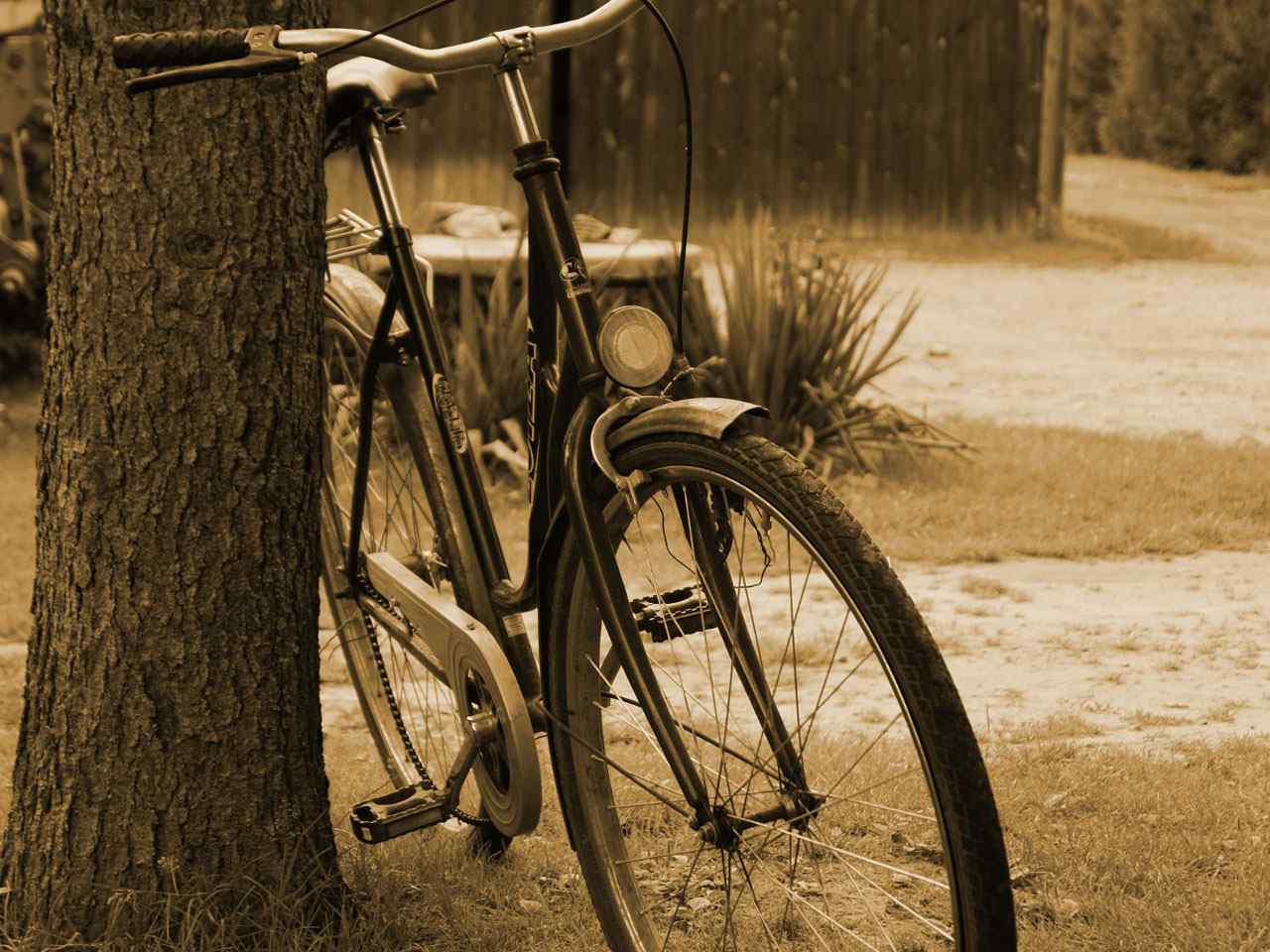 怀旧自行车摄影壁纸