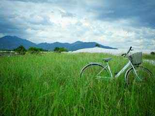 草地自行车摄影壁