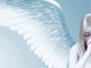 天使的翅膀壁纸