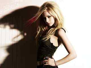 超性感美女壁纸-Avril Lavigne