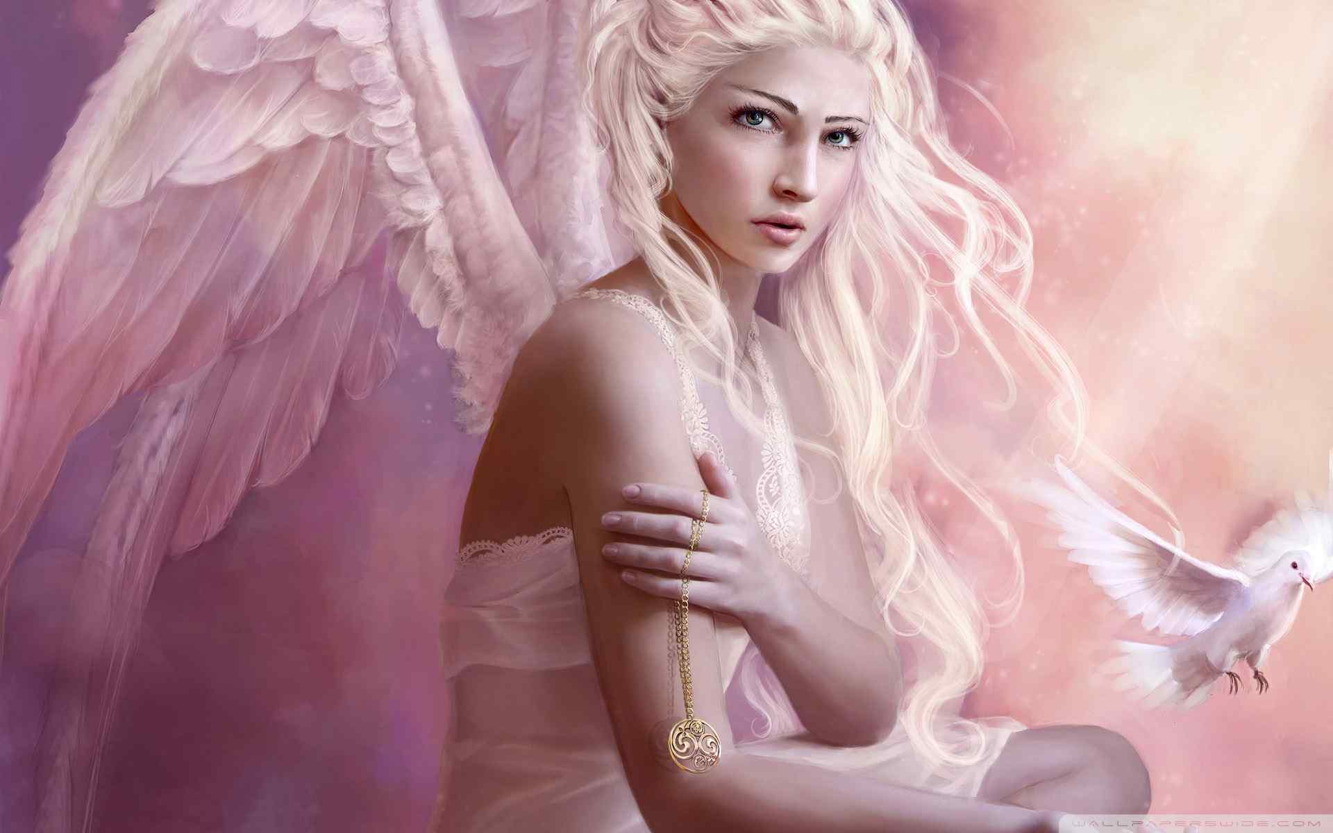 天使之翼动漫美女壁纸