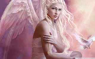 天使之翼动漫美女壁纸