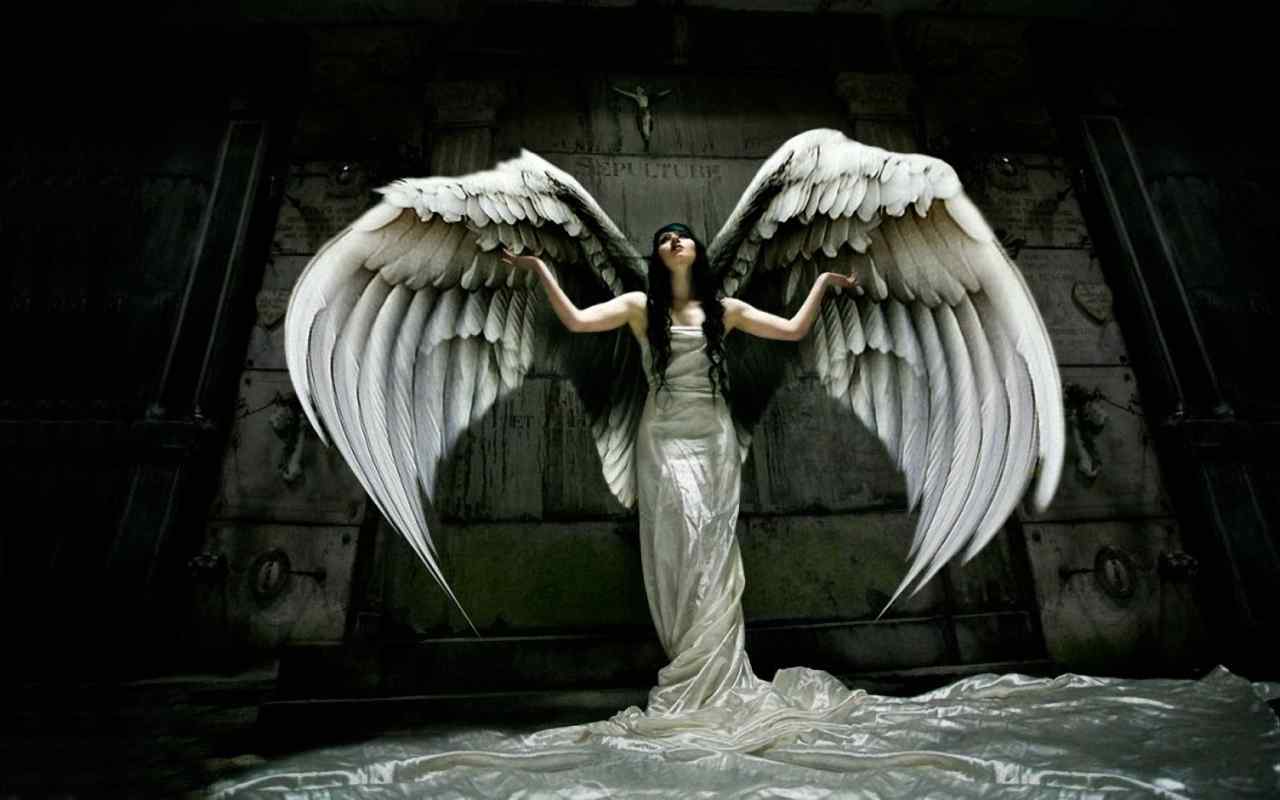 天使之翼美女壁纸