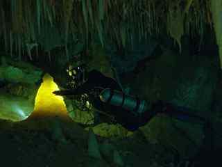 海底潜水摄影壁纸