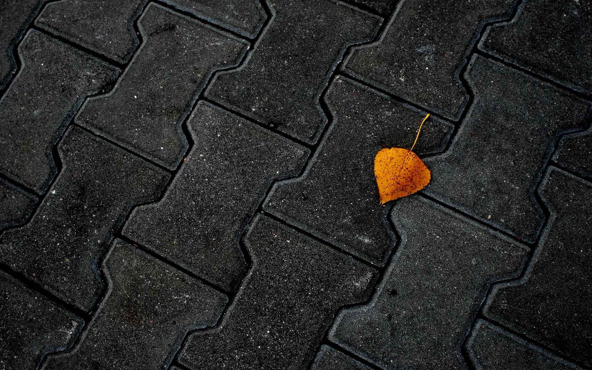 地板上的秋叶壁纸