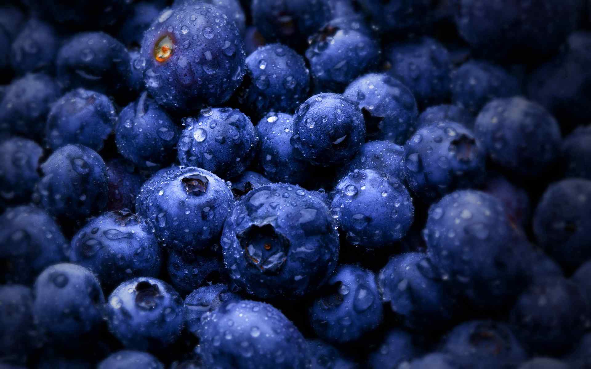 蓝莓桌面摄影壁纸