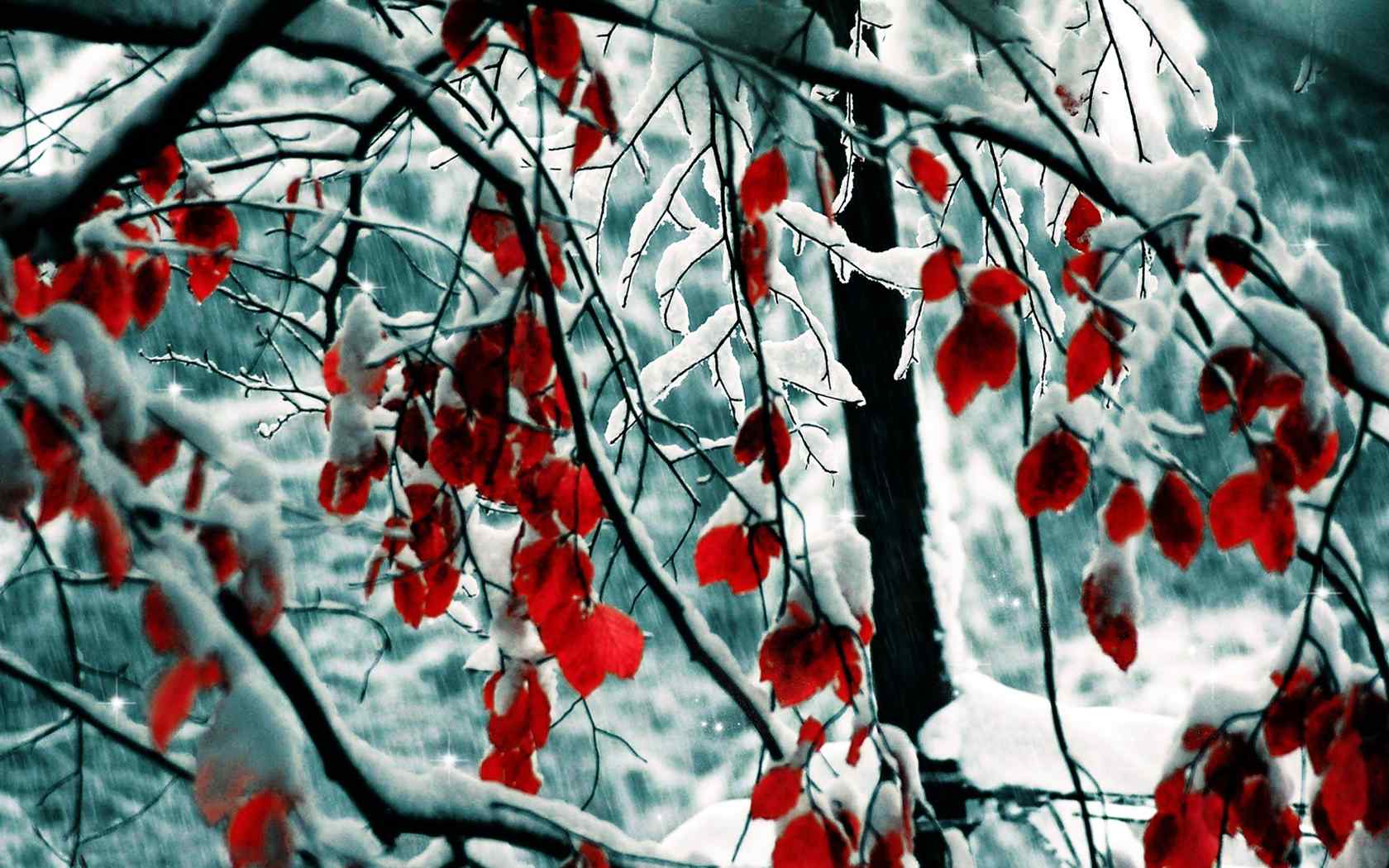 雪景红叶摄影壁纸