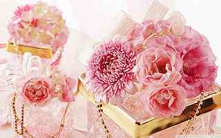 粉色菊花摄影壁纸
