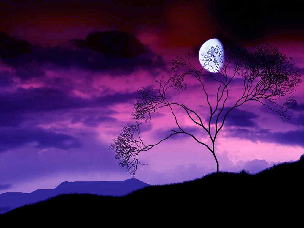 紫色月光风景壁纸