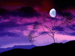 紫色月光风景壁纸