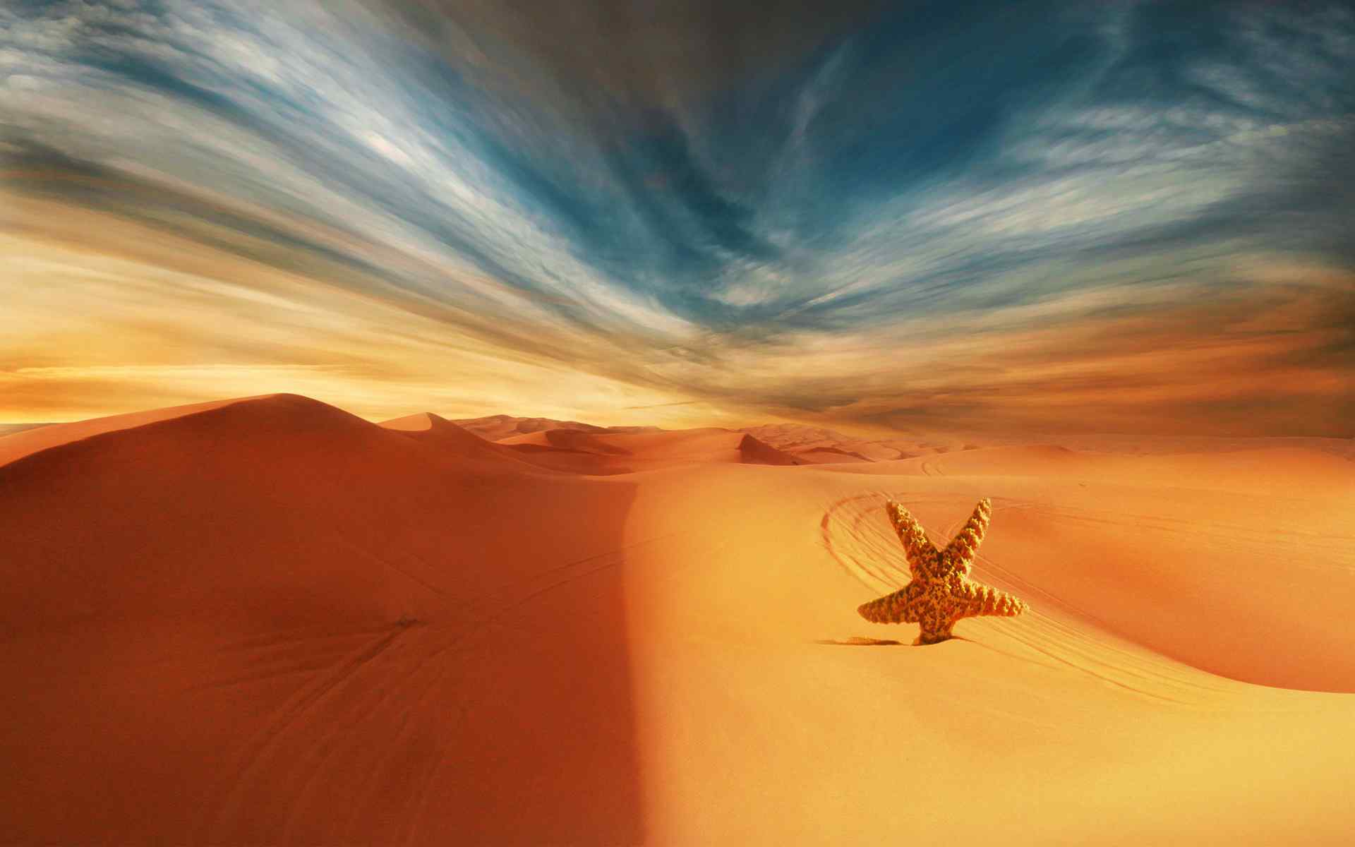 沙漠海星风景壁纸
