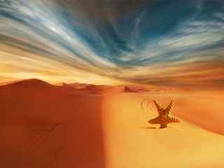 沙漠海星风景壁纸