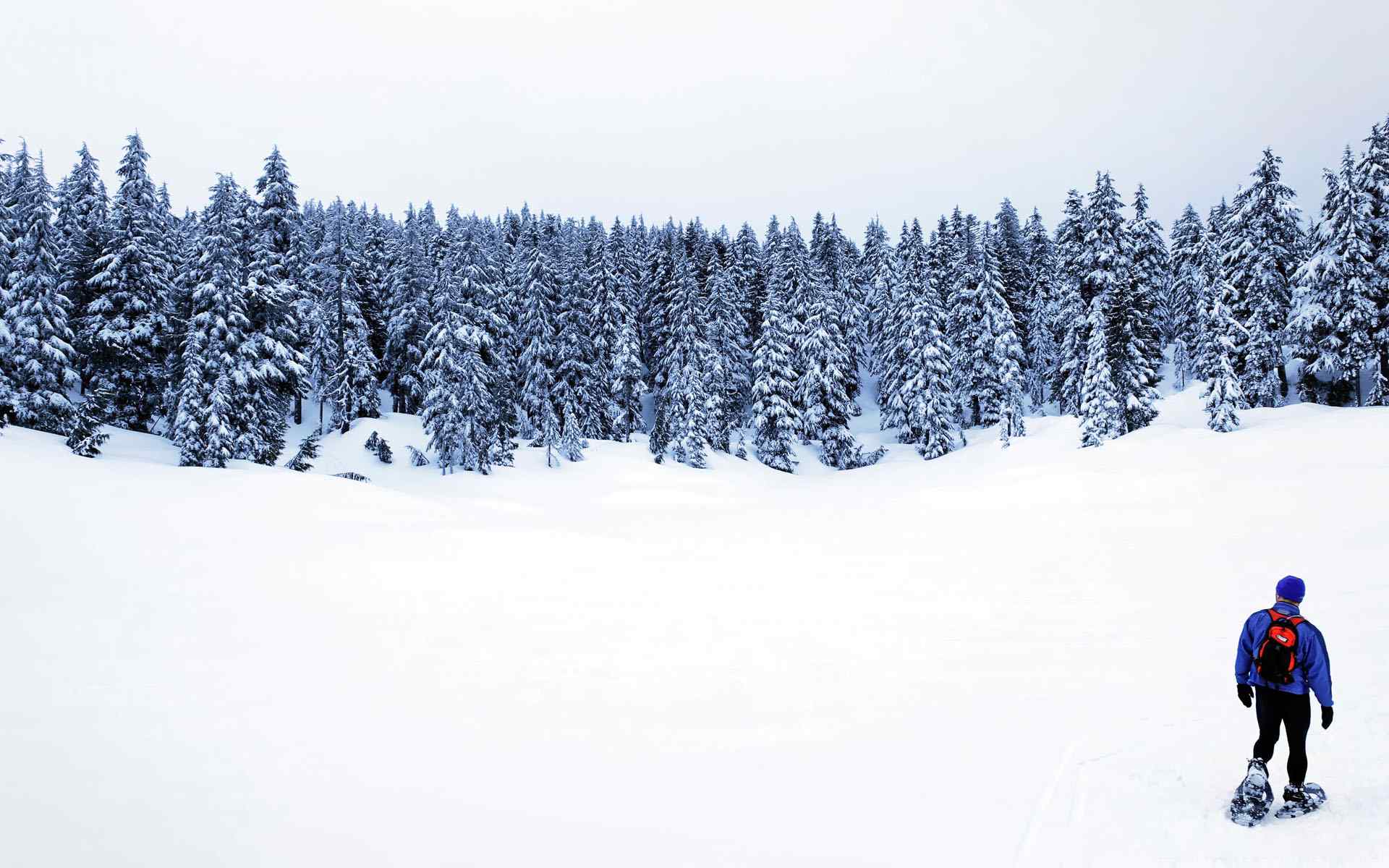 冬日雪景壁纸