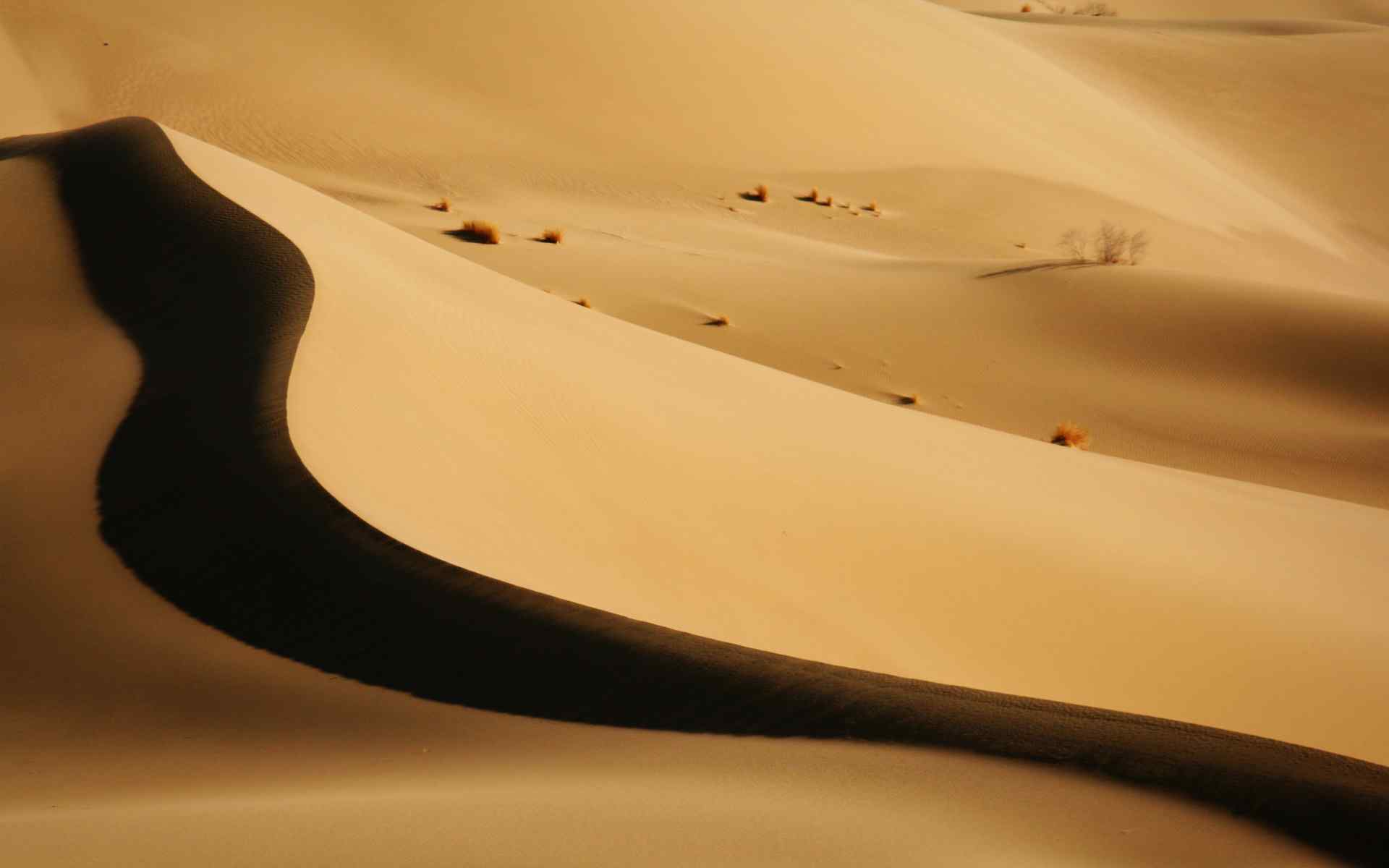 金色沙漠风景壁纸