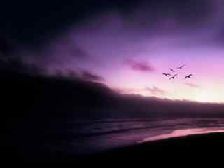 傍晚紫霞风景壁纸