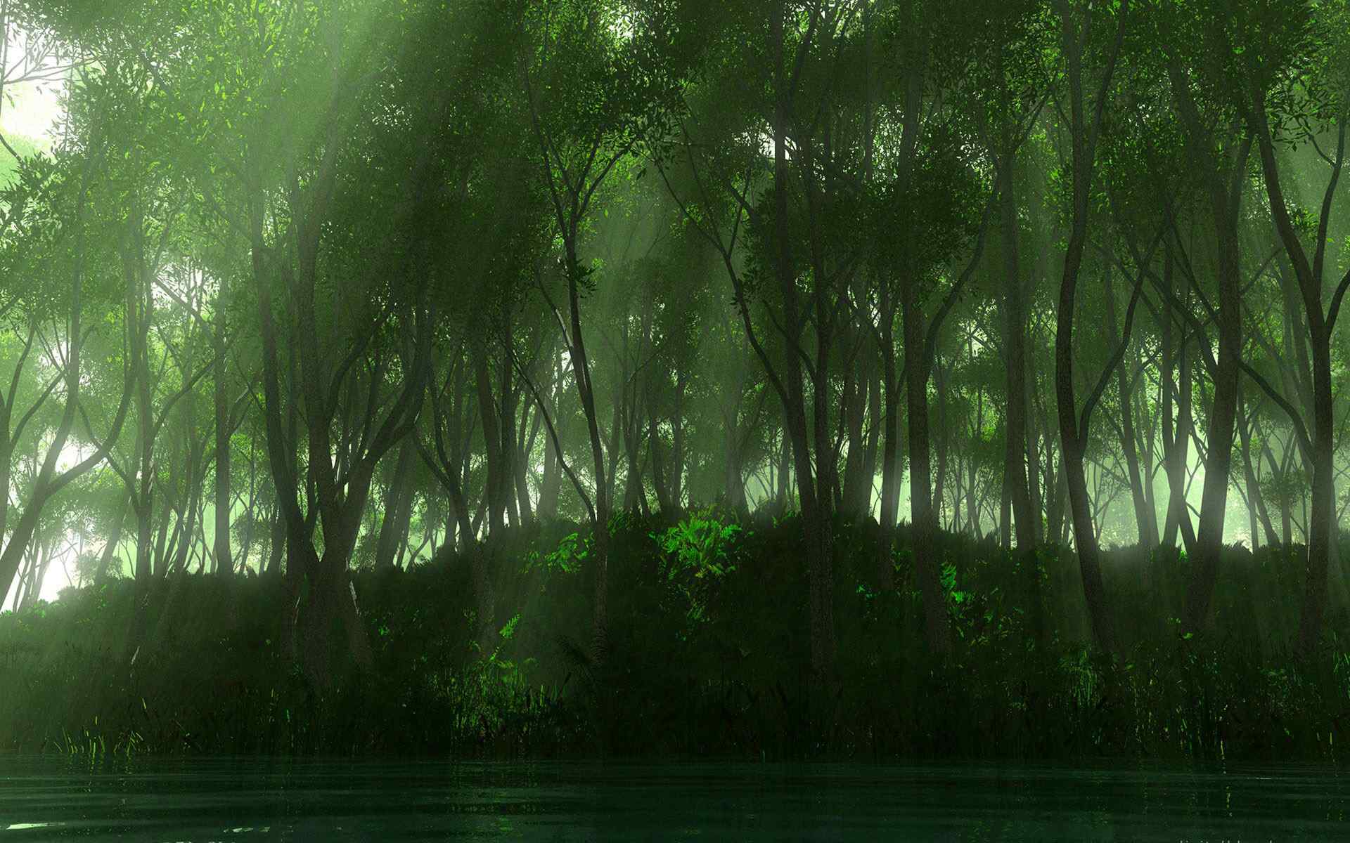 绿色森林壁纸