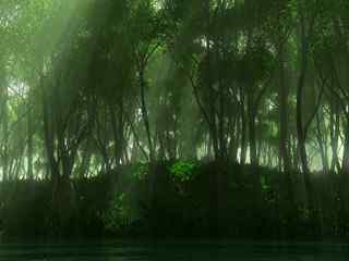 绿色森林壁纸