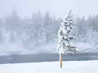 冬季白雪风景壁纸