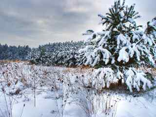 白雪皑皑高清摄影