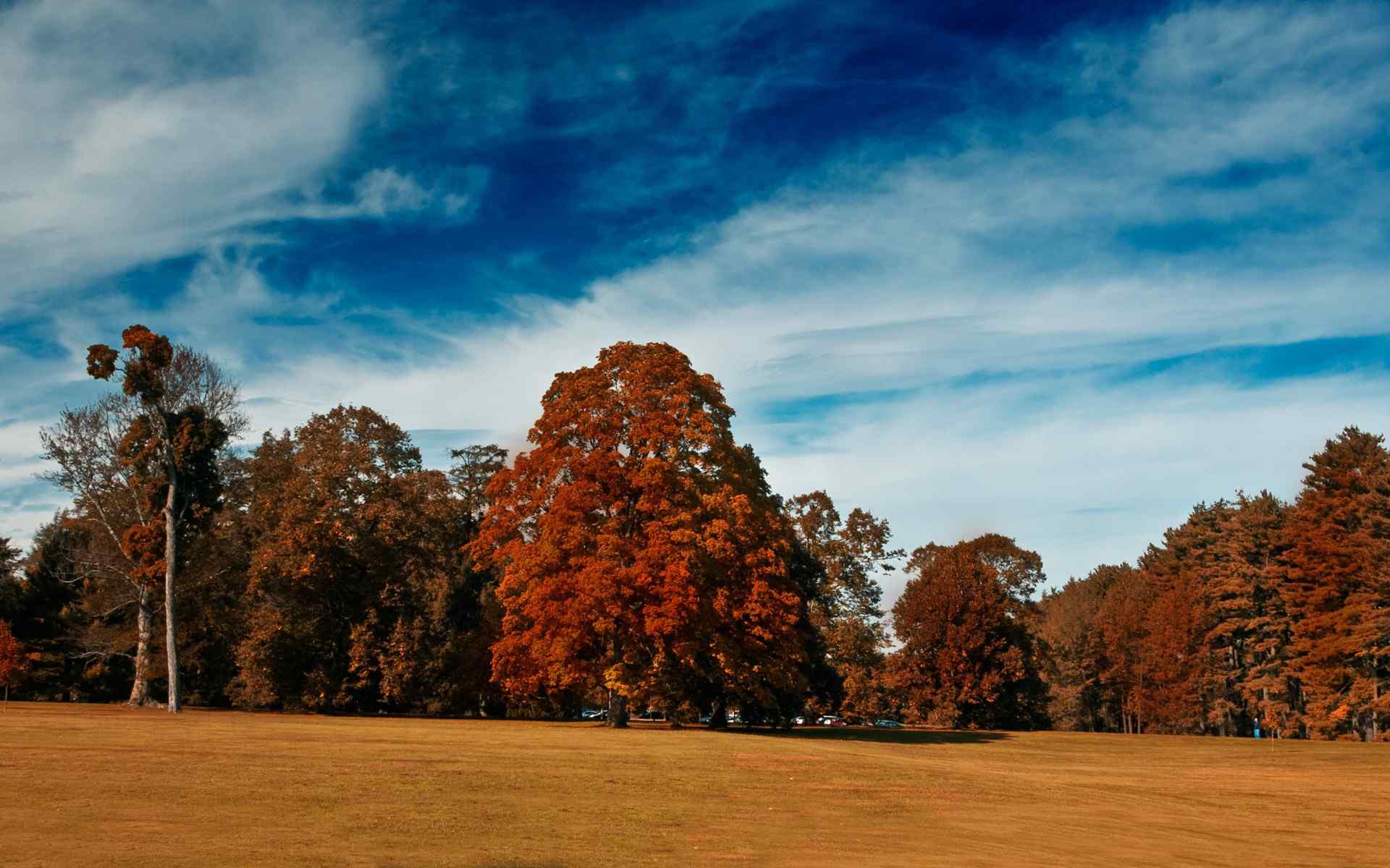 秋季风景摄影壁纸