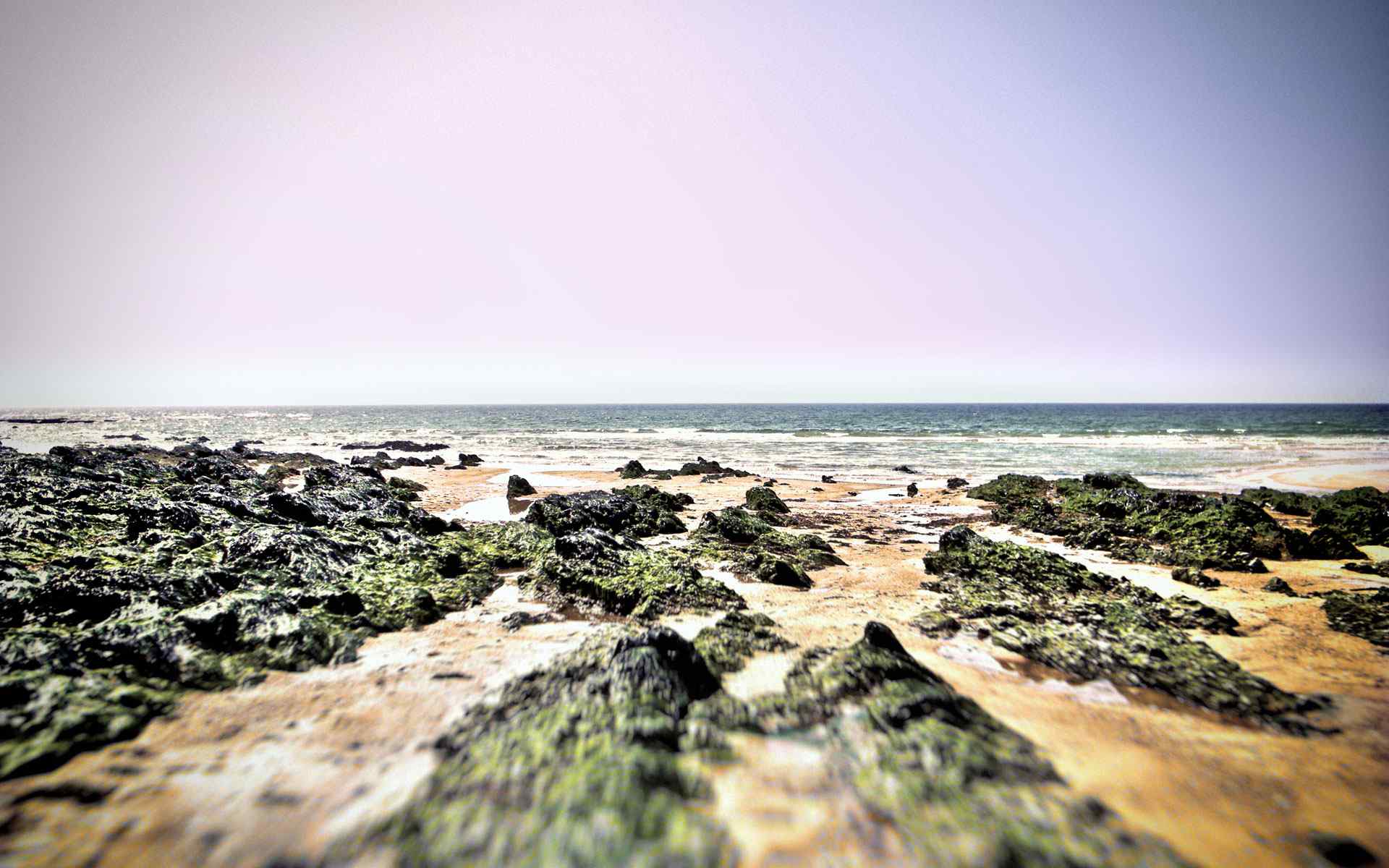 海滩石头摄影