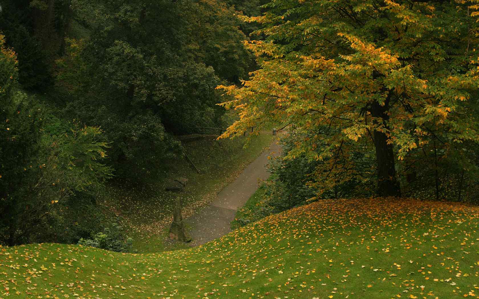 秋季大自然摄影壁纸