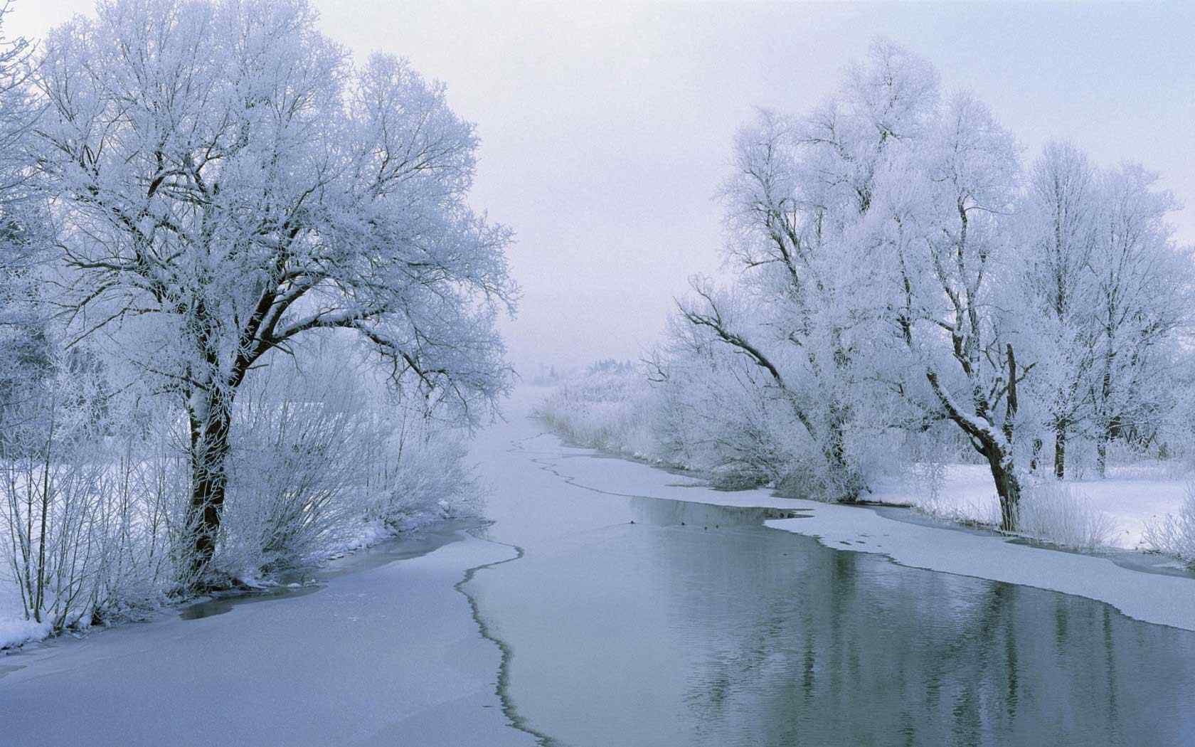 冬季白雪风景壁纸
