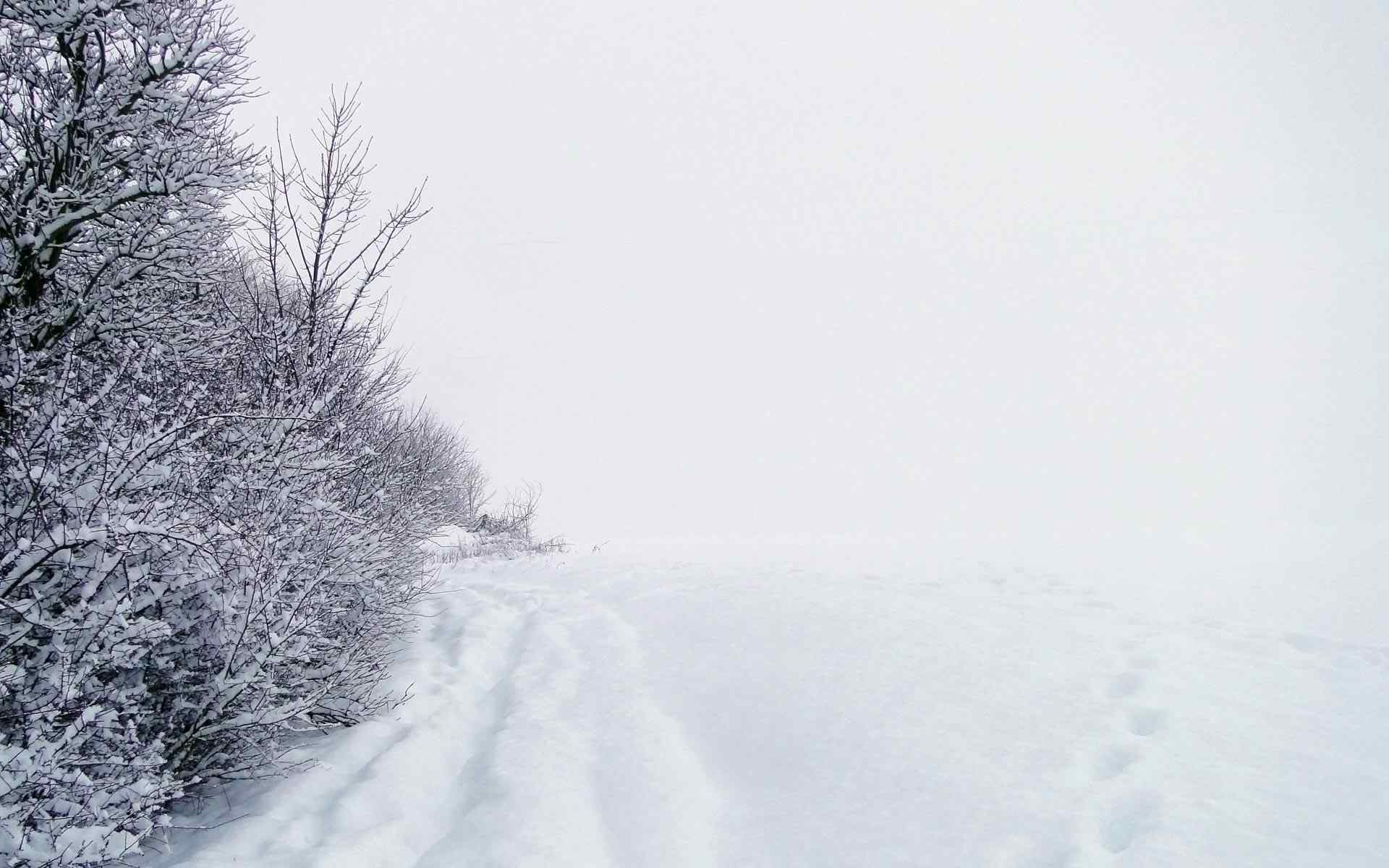冬季雪景摄影壁纸