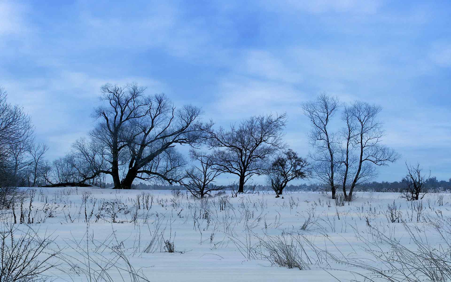 冬季雪景摄影壁纸