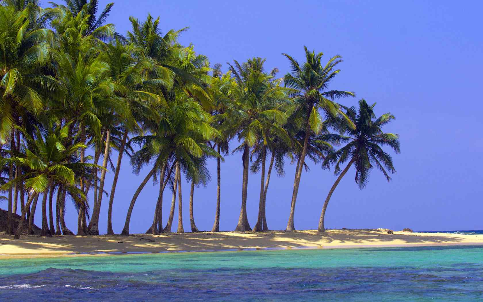 沙滩椰树风景壁纸