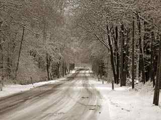 冬日树林雪景公路