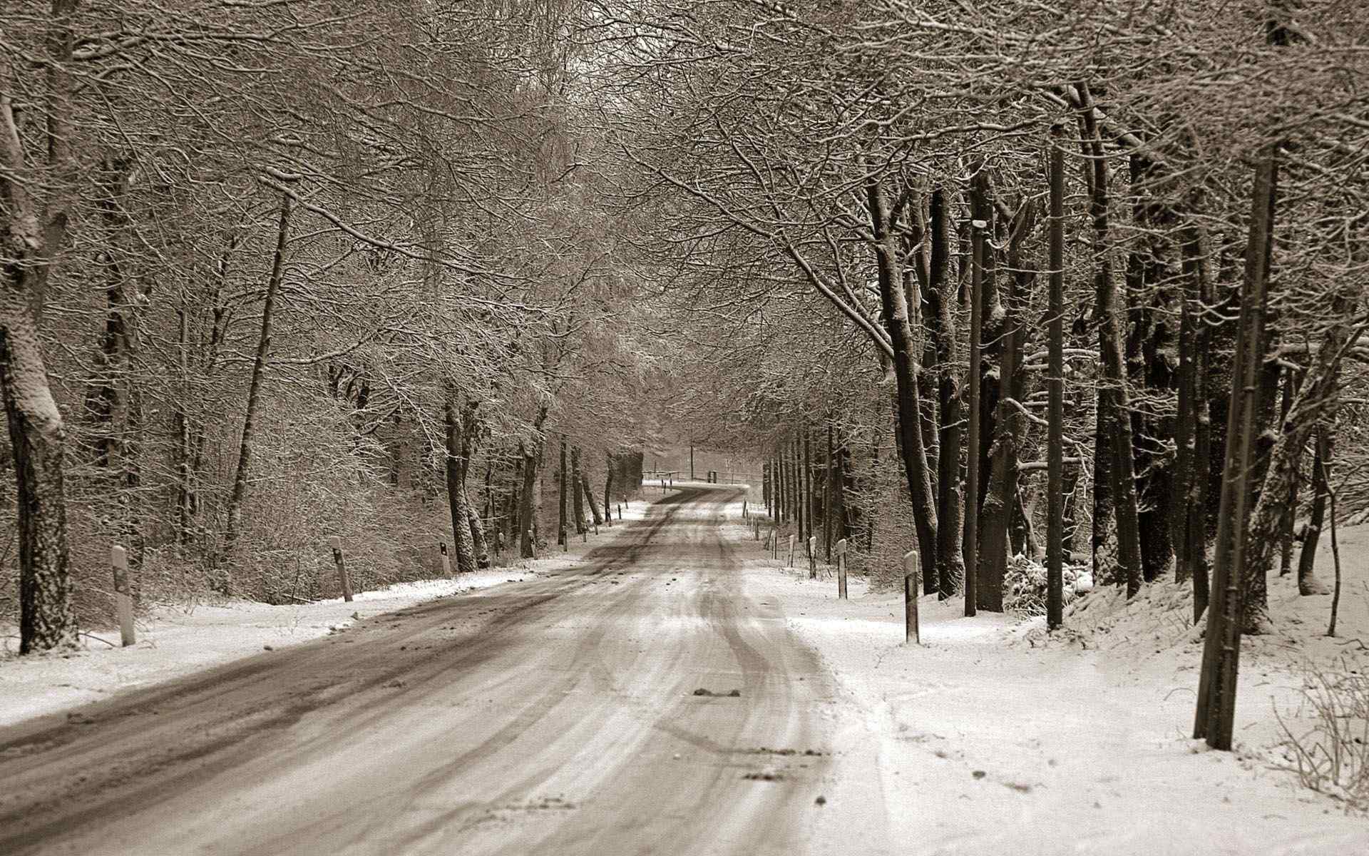 冬日树林雪景公路壁纸