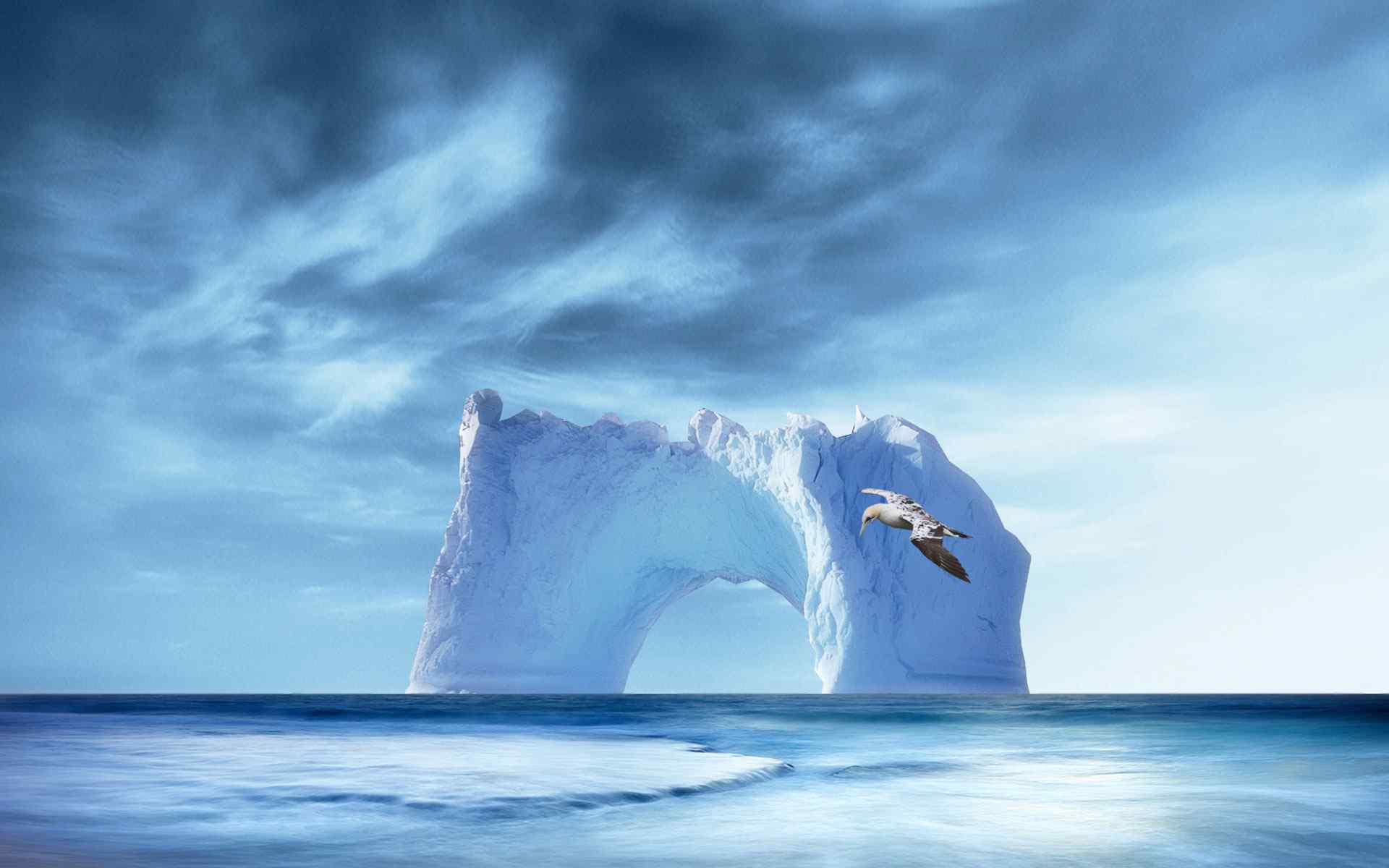 冰山海鸟摄影壁纸