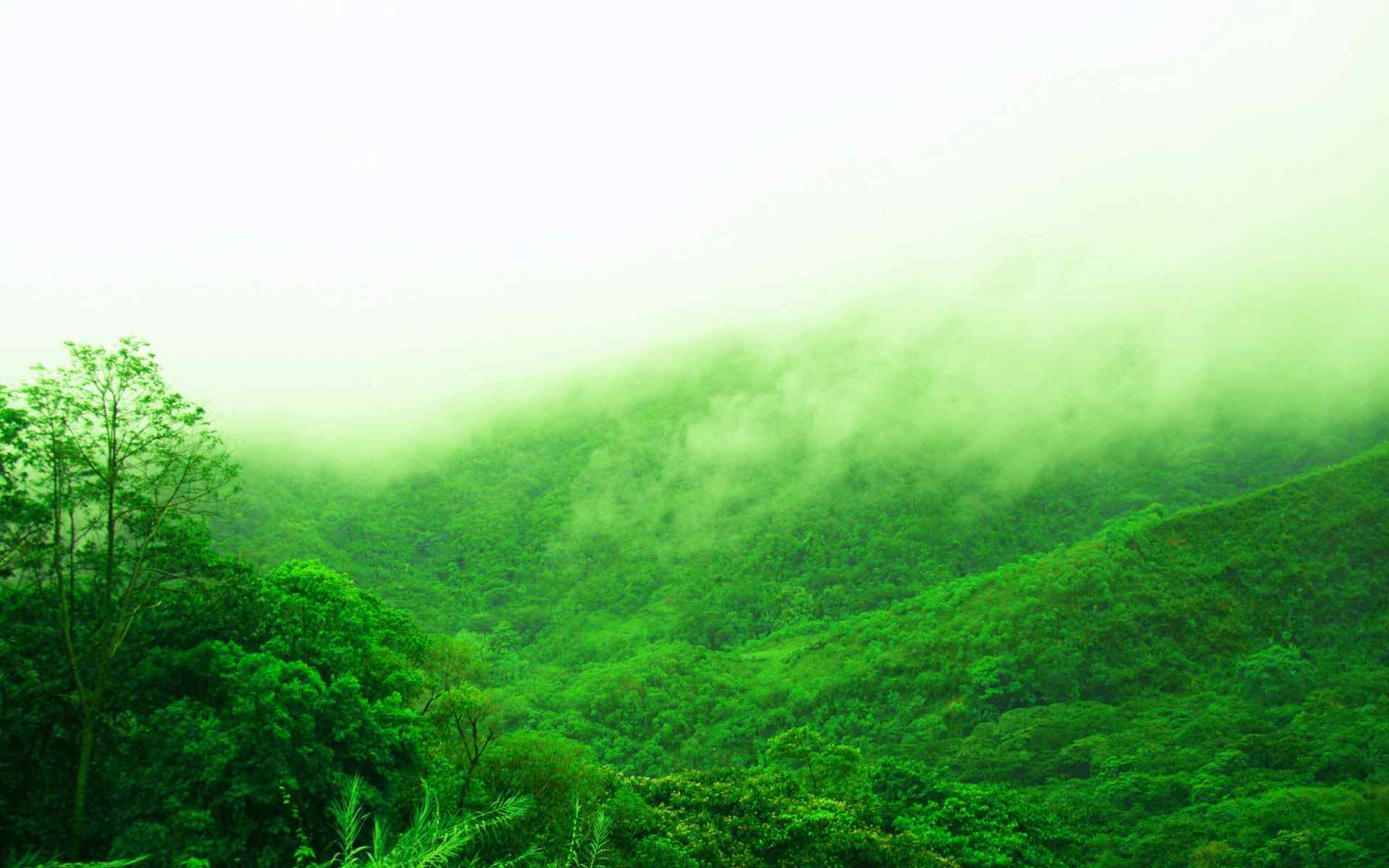 雾气山林风景壁纸