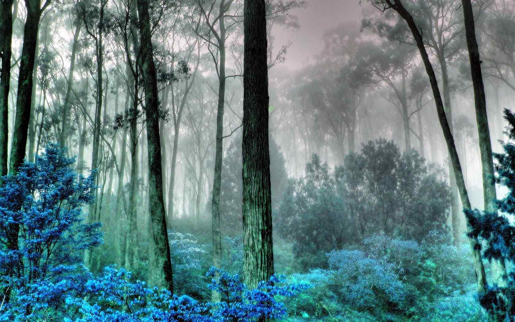 雾气山林风景壁纸