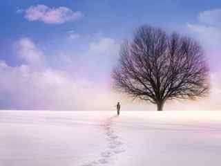 孤单背影雪景壁纸