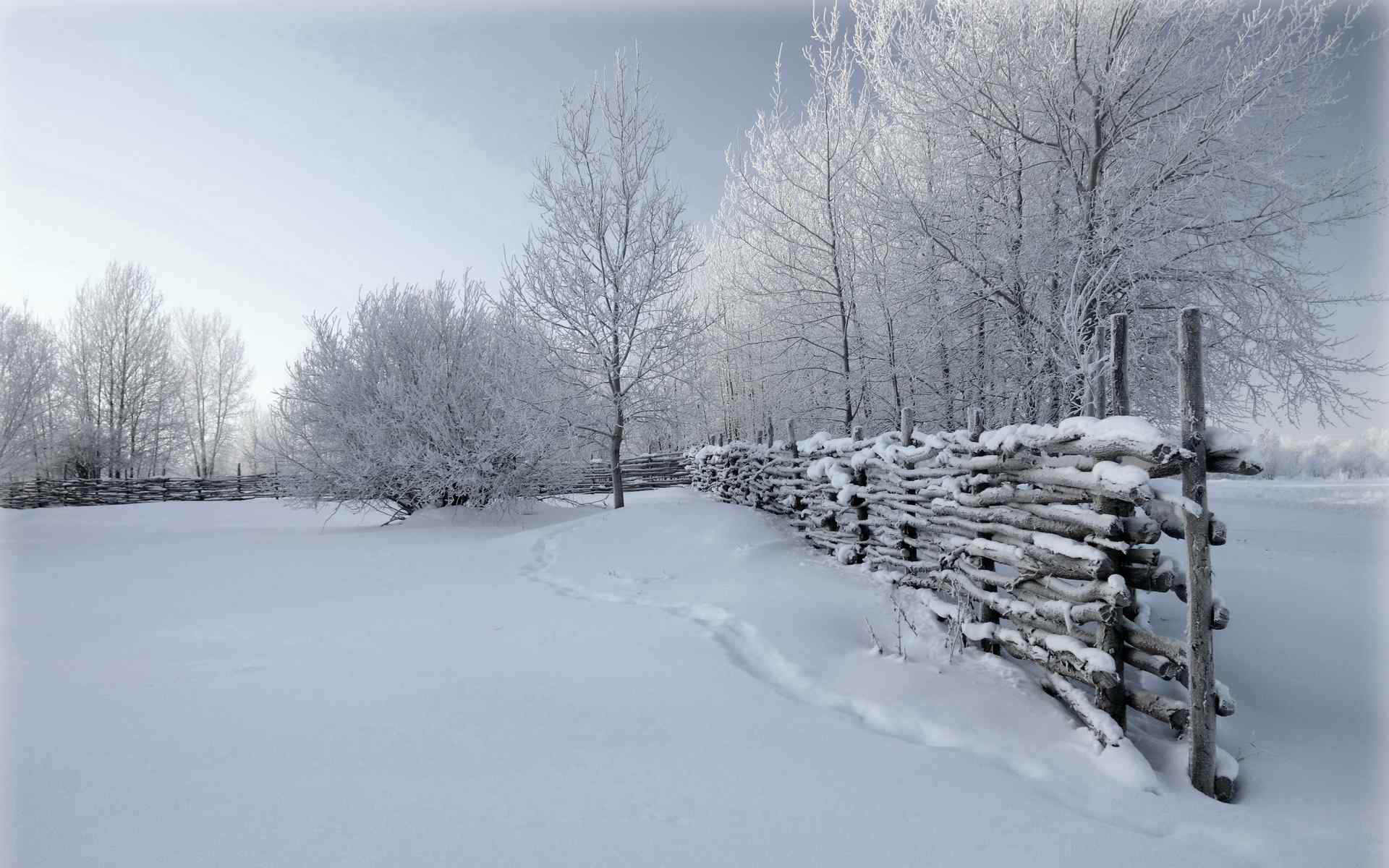 山野雪景壁纸