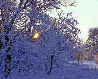 冬季雪景风景壁纸